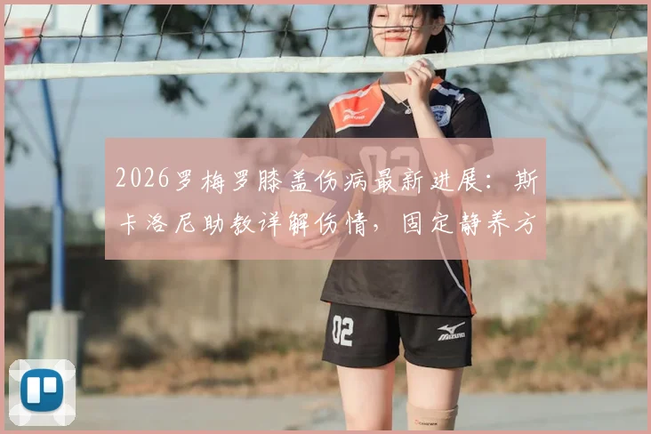 2026罗梅罗膝盖伤病最新进展：斯卡洛尼助教详解伤情，固定静养方案与恢复时间预测
